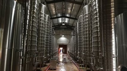 浪吳忠|走進(jìn)東方裕興酒莊 感受獨特的戈蕊紅