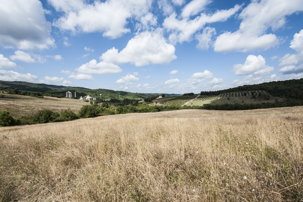 托斯卡納的農產品加工工廠意大利葡萄酒農場四周環繞著葡萄園和橄欖樹
