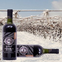 紫隆山紅寶石冰酒 品味時光凝萃，共創財富未來——通化紫隆山葡萄酒廠火熱招商