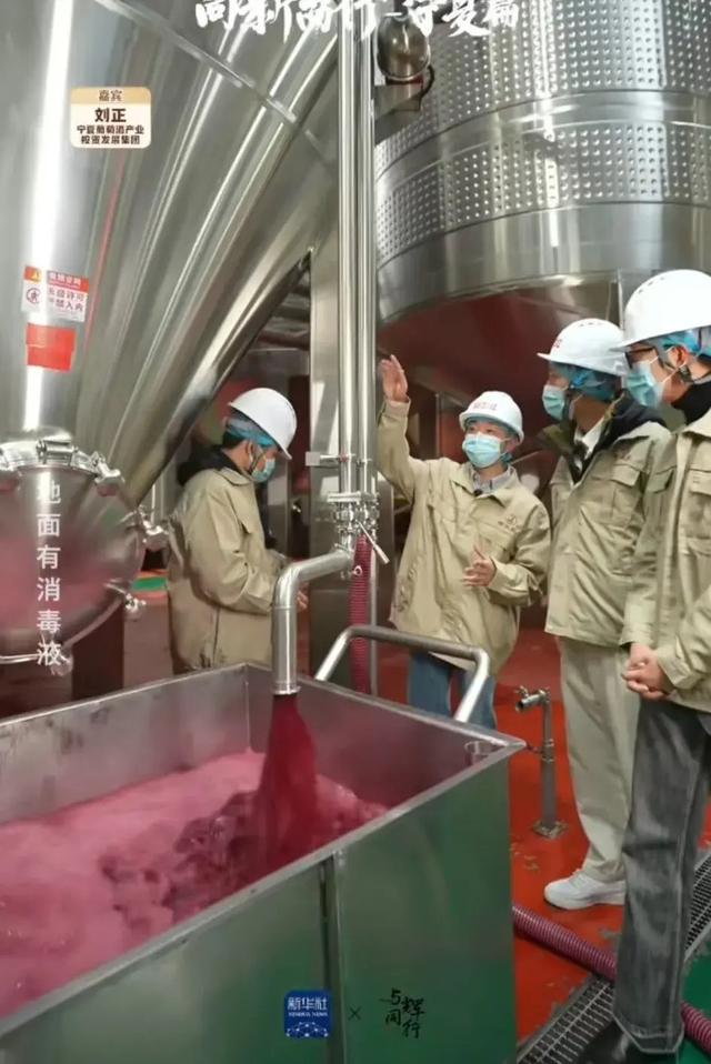 隨董宇輝寧夏行 探秘葡萄酒的誕生，品味杯中人生百味